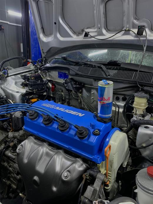 Honda Civic motor bölmesinde mavi Mugen subap kapağı ve buji kabloları